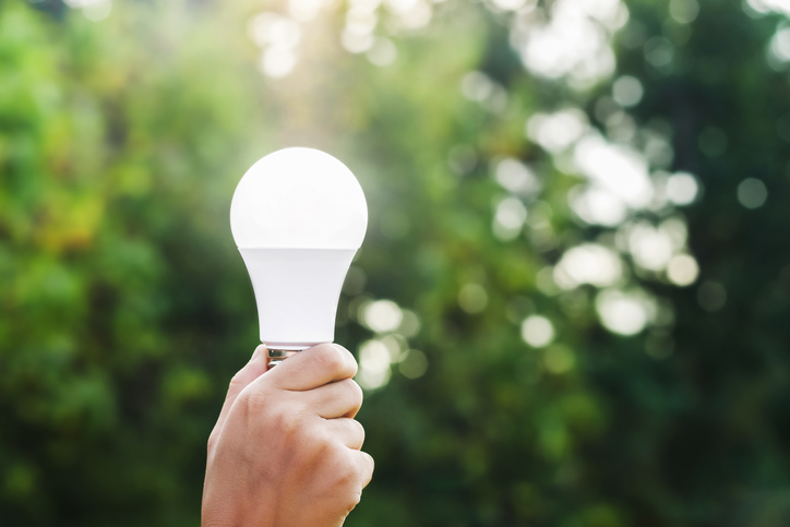 hand holding led bulb